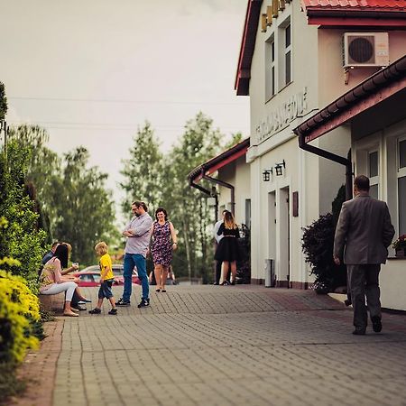 مبيت وإفطار Bełchatów Laura المظهر الخارجي الصورة